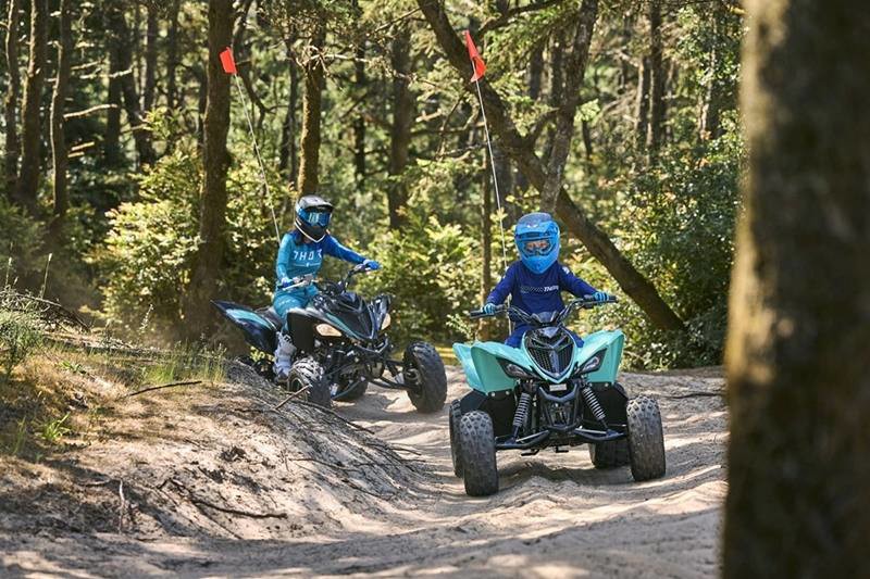 2025 Yamaha RAPTOR 110 ATV
