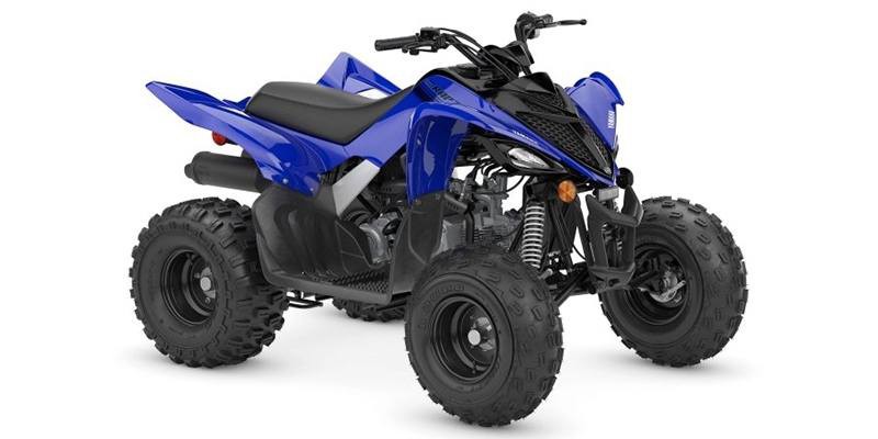 2025 Yamaha RAPTOR 110 ATV