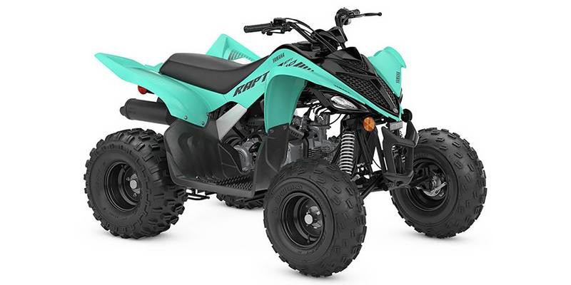 2025 Yamaha RAPTOR 110 ATV